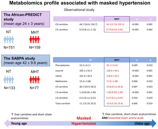 Identifying a metabolomics profile associated with masked hypertension in two independent cohorts: Data from the African-PREDICT and SABPA studies