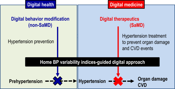 The first software as medical device of evidence-based hypertension digital therapeutics for clinical practice
