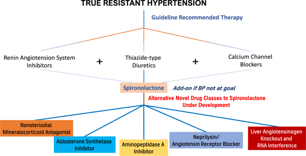 Novel antihypertensive agents for resistant hypertension: what does the future hold?