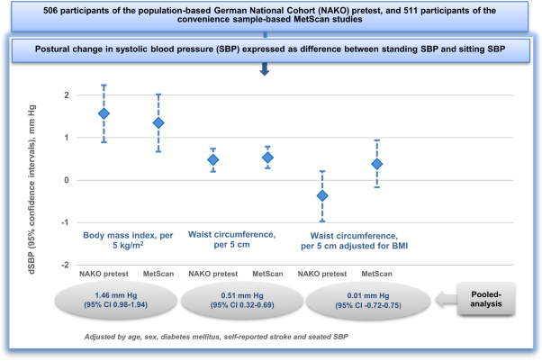 Association of general and abdominal adiposity with postural changes in systolic blood pressure: results from the NAKO pretest and MetScan studies