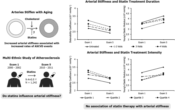 Association of statin therapy with progression of carotid arterial stiffness: the Multi-Ethnic Study of Atherosclerosis (MESA)