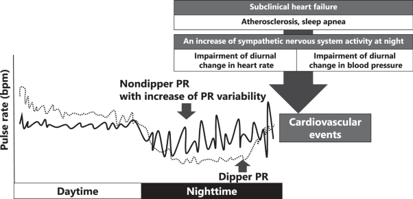The combination of nondipper pulse rate pattern and nighttime high pulse rate variability is associated with an increase of brain natriuretic peptide: the J-HOP study