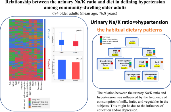 Relationship between the urinary Na/K ratio, diet and hypertension among community-dwelling older adults