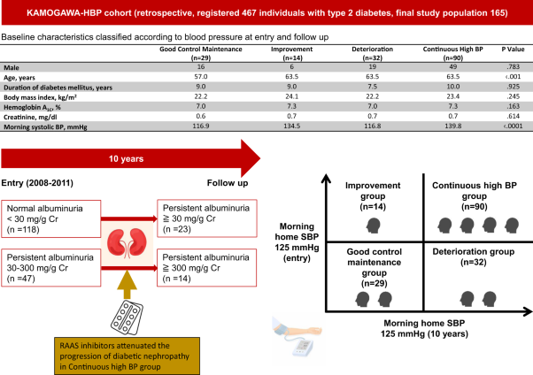 Impact of continued high blood pressure on the progression of diabetic nephropathy after 10 years: KAMOGAWA-HBP study
