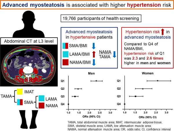 Association between hypertension and myosteatosis evaluated by abdominal computed tomography