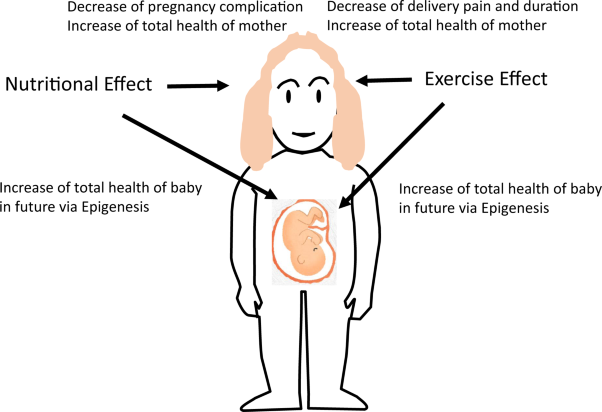 Appropriate exercise might have some benefits for both mothers and their babies via epigenesis
