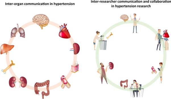 Emerging topics on basic research in hypertension: interorgan communication and the need for interresearcher collaboration