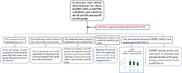 Associations between IGFBP1 gene polymorphisms and the risk of preeclampsia and fetal growth restriction