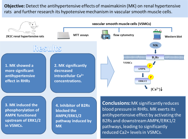 Maximakinin reduced intracellular Ca<sup>2+</sup> level in vascular smooth muscle cells through AMPK/ERK1/2 signaling pathways