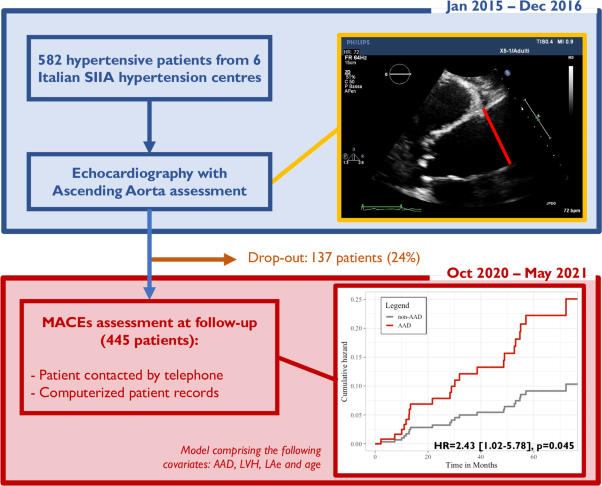 Ascending aorta dilatation is associated to hard cardiovascular events, follow-up from multicentric ARGO-Perspective project