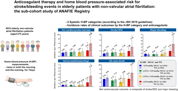 Anticoagulant therapy and home blood pressure-associated risk for stroke/bleeding events in elderly patients with non-valvular atrial fibrillation: the sub-cohort study of ANAFIE registry