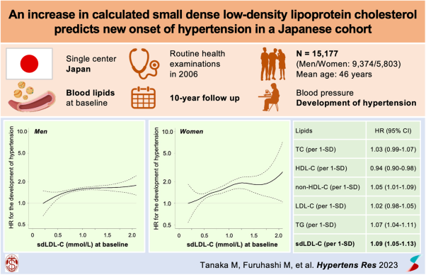 An increase in calculated small dense low-density lipoprotein cholesterol predicts new onset of hypertension in a Japanese cohort