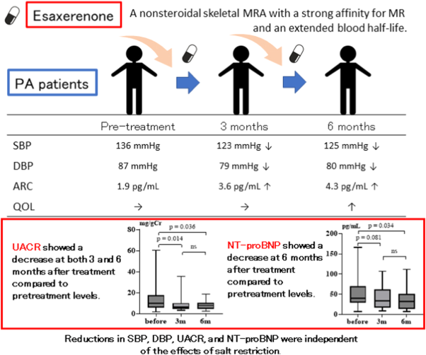 Effects of esaxerenone on blood pressure, urinary albumin excretion, serum levels of NT-proBNP, and quality of life in patients with primary aldosteronism