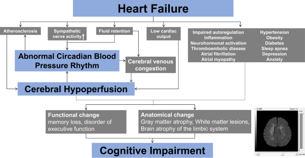 Cognitive impairment in heart failure patients: association with abnormal circadian blood pressure rhythm: a review from the HOPE Asia Network