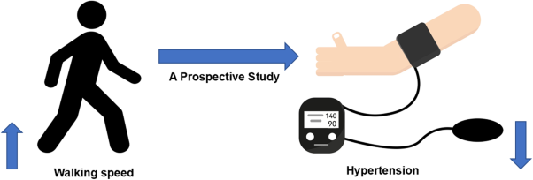 The objectively measured walking speed and risk of hypertension in Chinese older adults: a prospective cohort study