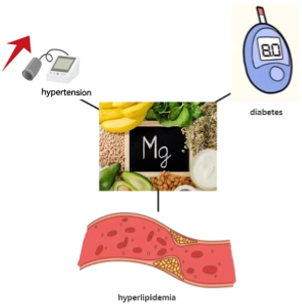 Associations between dietary magnesium intake and hypertension, diabetes, and hyperlipidemia