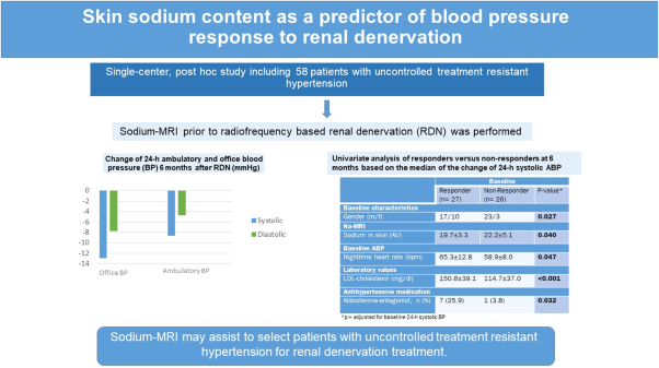 Skin sodium content as a predictor of blood pressure response to renal denervation