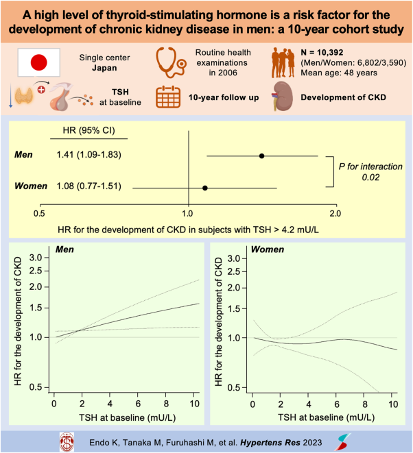 A high level of thyroid-stimulating hormone is a risk factor for the development of chronic kidney disease in men: a 10-year cohort study