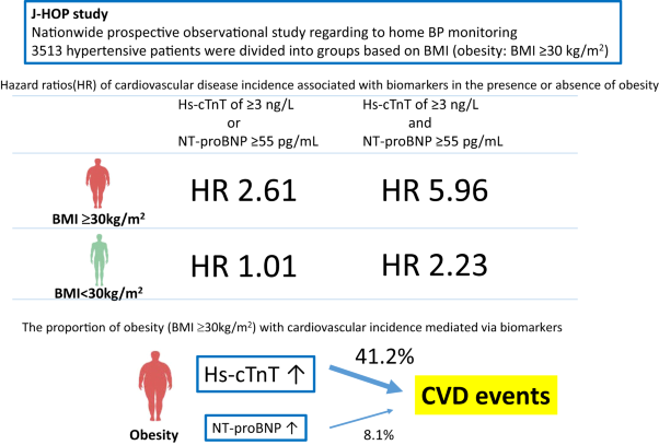 Prognosis of a malignant phenotype of obesity defined by a cardiac biomarker in hypertension: the Japan Morning Surge-Home Blood Pressure study