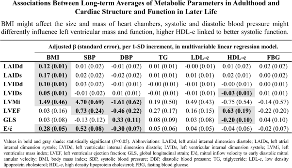Associations between long-term averages of metabolic parameters in adulthood and cardiac structure and function in later life