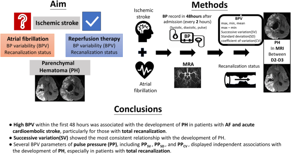 The impact of blood pressure variability on the development of parenchymal hematoma in acute cerebral infarction with atrial fibrillation