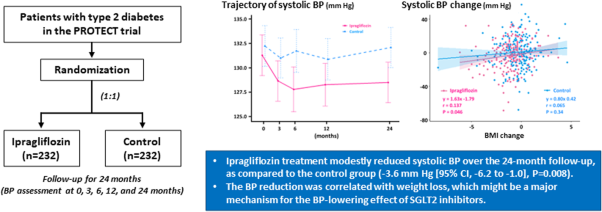 Long-term effects of ipragliflozin on blood pressure in patients with type 2 diabetes: insights from the randomized PROTECT trial