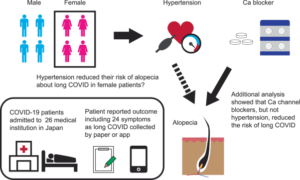 Calcium channel blockers may reduce the development of long COVID in females