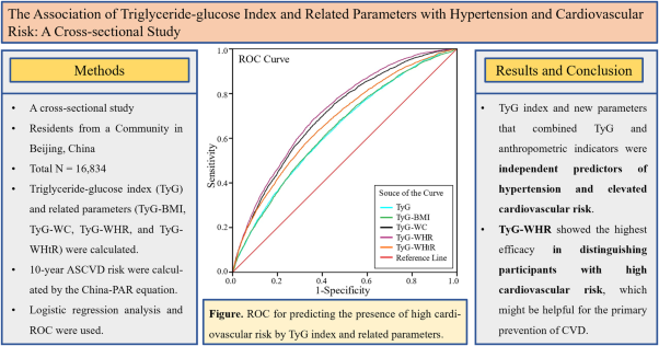 The association of triglyceride-glucose index and related parameters with hypertension and cardiovascular risk: a cross-sectional study