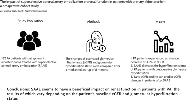 The impact of superselective adrenal artery embolization on renal function in patients with primary aldosteronism: a prospective cohort study