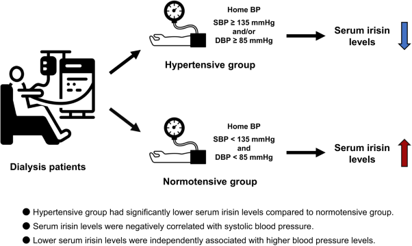 Association between serum irisin levels and blood pressure in patients undergoing hemodialysis