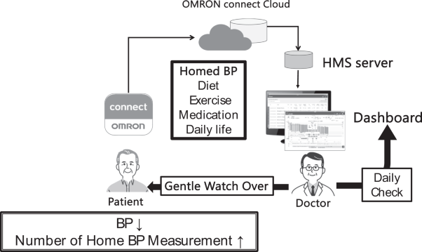 A prospective pilot trial of the health data monitoring system without educational content for patients with hypertension