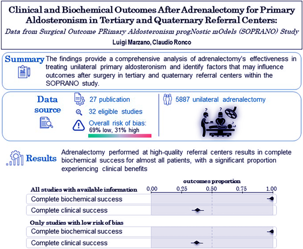 Clinical and biochemical outcomes after adrenalectomy for primary aldosteronism in tertiary and quaternary referral centers: data from SOPRANO study