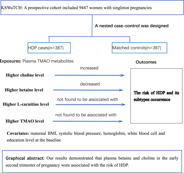 Plasma trimethylamine N-oxide metabolites in the second trimester predict the risk of hypertensive disorders of pregnancy: a nested case-control study