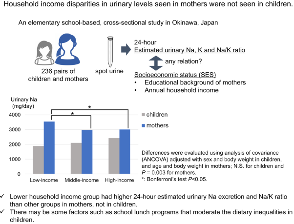 Association between sodium and potassium excretion estimated from spot urine and socioeconomic status among primary school children and their mothers in Okinawa, Japan