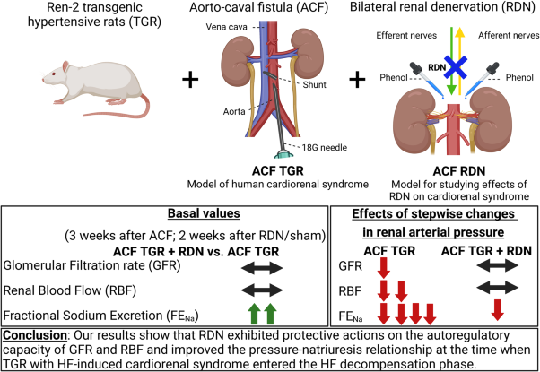 Renal sympathetic denervation improves pressure-natriuresis relationship in cardiorenal syndrome: insight from studies with Ren-2 transgenic hypertensive rats with volume overload induced using aorto-caval fistula