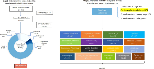 Association between human blood metabolome and the risk of pre-eclampsia