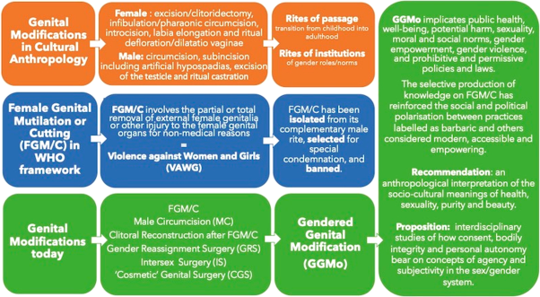 Gendered genital modifications in critical anthropology: from discourses on FGM/C to new technologies in the sex/gender system