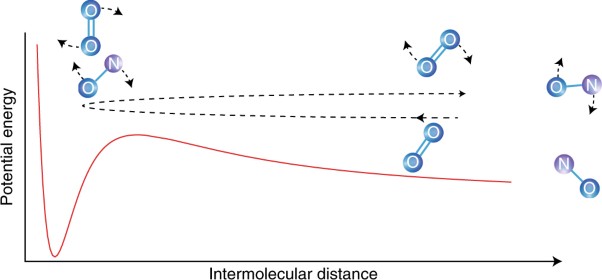 Observation of correlated excitations in bimolecular collisions