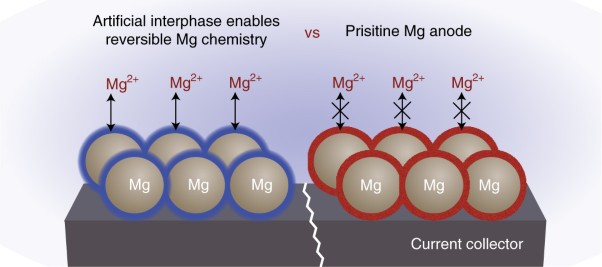 An artificial interphase enables reversible magnesium chemistry in carbonate electrolytes