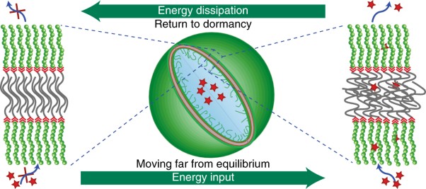 Dynamic actuation of glassy polymersomes through isomerization of a single azobenzene unit at the block copolymer interface