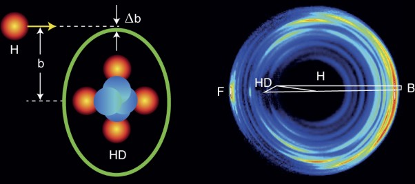 Direct observation of forward-scattering oscillations in the H+HD→H<sub>2</sub>+D reaction