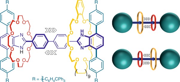 Ring-through-ring molecular shuttling in a saturated [3]rotaxane