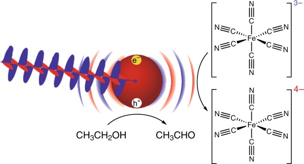 Harvesting multiple electron–hole pairs generated through plasmonic excitation of Au nanoparticles