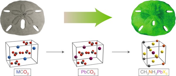 Shape-preserving transformation of carbonate minerals into lead halide perovskite semiconductors based on ion exchange/insertion reactions