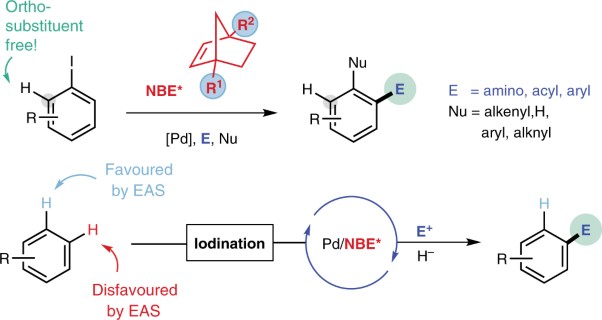 Complementary site-selectivity in arene functionalization enabled by overcoming the <i>ortho</i> constraint in palladium/norbornene catalysis