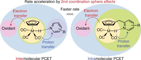 Accelerating proton-coupled electron transfer of metal hydrides in catalyst model reactions