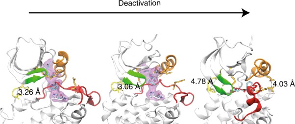 Towards simple kinetic models of functional dynamics for a kinase subfamily
