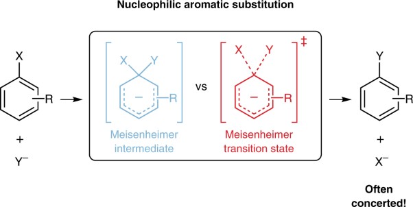 Concerted nucleophilic aromatic substitutions