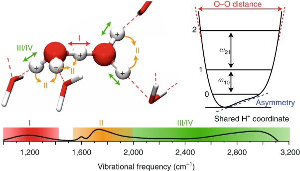 Broadband 2D IR spectroscopy reveals dominant asymmetric H<sub>5</sub>O<sub>2</sub><sup>+</sup> proton hydration structures in acid solutions