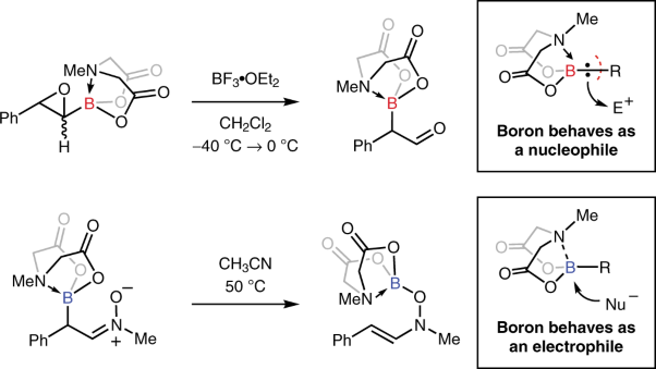 Amine hemilability enables boron to mechanistically resemble either hydride or proton